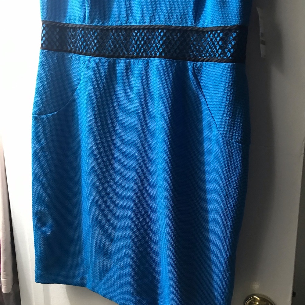 *NWT* Beautiful Dress with mesh detailing - Picture 4 of 9